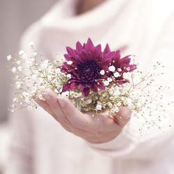 Close-up of hand holding purple flower