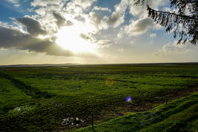 Scenic view of field against sky during sunset