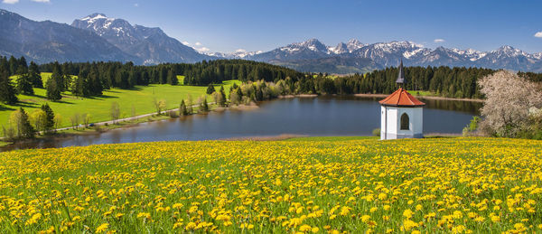 Panoramic landscape with chapel, mountains and meadow at springtime