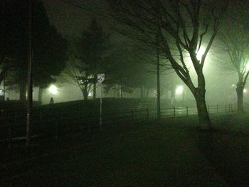 Trees on landscape against sky at night