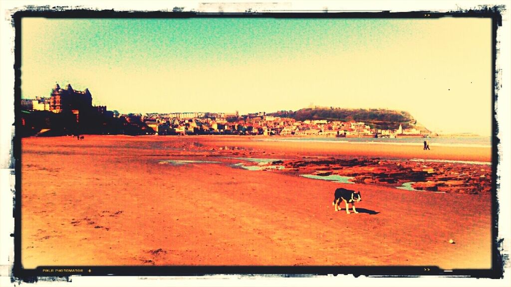 South bay, Scarborough.