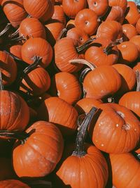 Full frame shot of pumpkins for sale