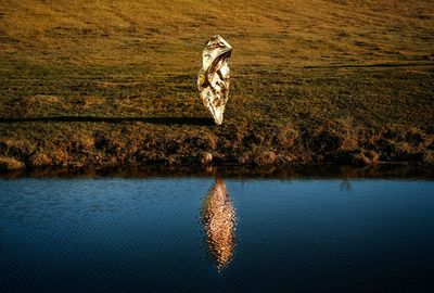 View of people by lake. reflection. 