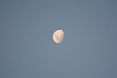 Low angle view of moon in sky