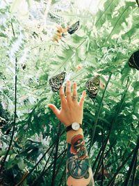 Cropped image of tattooed woman hand amidst butterflies against plants