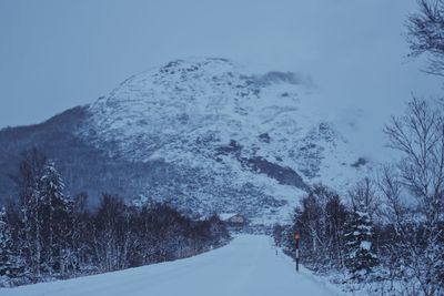 Snow covered road amidst trees against sky