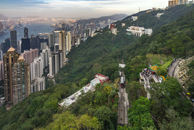 High angle view of trees and buildings in city