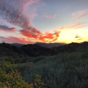 Scenic view of landscape against sky during sunset