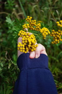 Midsection of woman holding red flower