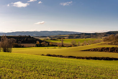 Scenic view of agricultural field against sky