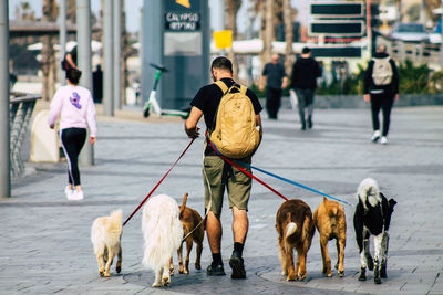 People walking with dog on street in city