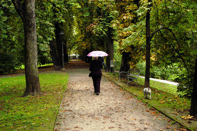 Rear view of a man walking in park