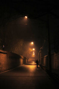 Person walking on illuminated street at night
