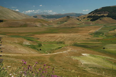 Scenic view of landscape against sky