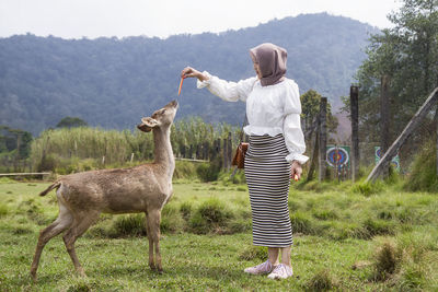 Beautiful asian girl playing and feeding a deer at rancaupas, ciwidey, bandung, indonesia