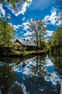 Scenic view of lake by trees against blue sky