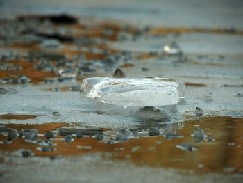 Close-up of ice crystals on sea shore