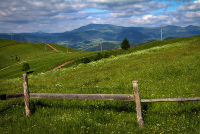 Scenic view of field against sky