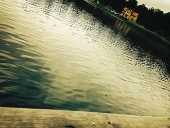 Reflection of trees in water