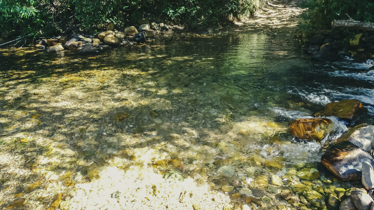 SURFACE LEVEL OF SHALLOW WATER IN A FOREST