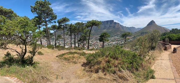 Panoramic shot of trees on landscape against sky