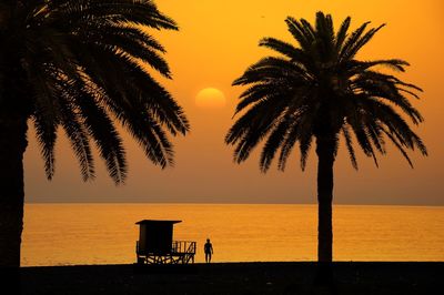 Silhouette palm tree by sea against sky during sunset