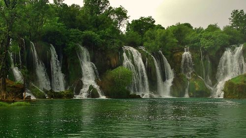 Scenic view of waterfall in forest