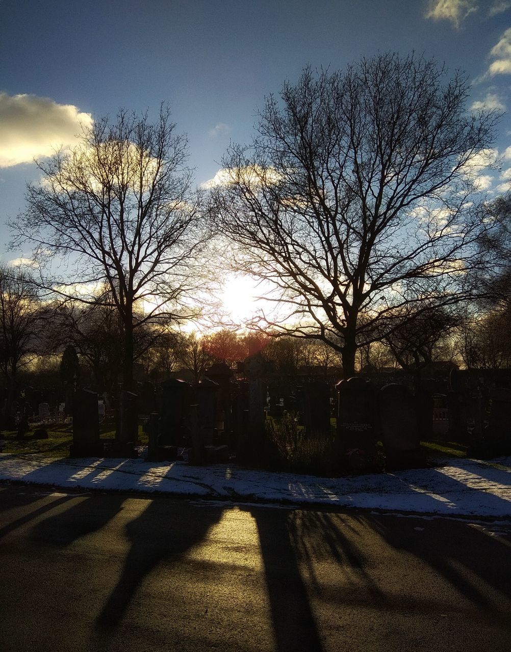 sky, tree, sunlight, shadow, bare tree, plant, nature, no people, sunset, road, cloud - sky, day, outdoors, street, winter, tombstone, branch, beauty in nature, cemetery, architecture, lens flare