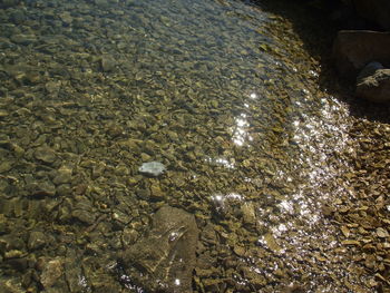 Rocks in sea