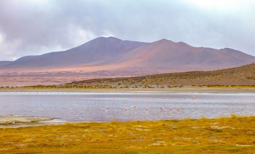 Scenic view of lake and mountains against sky