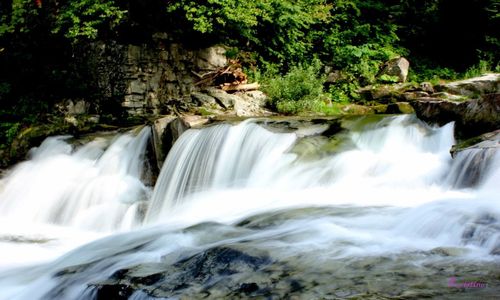 Scenic view of waterfall in forest