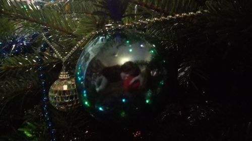 Close-up of illuminated christmas tree at night