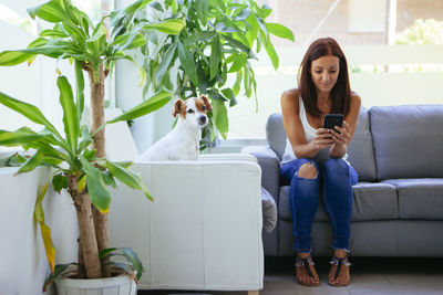 Woman using smart phone while sitting with dog on sofa