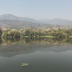 Reflection of trees in lake