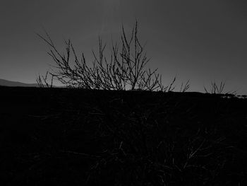 Silhouette bare tree on field against sky at dusk