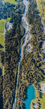 High angle view of trees on land