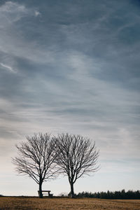 Bare tree on field against sky