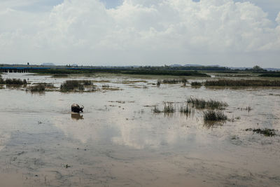 Scenic view of lake against sky