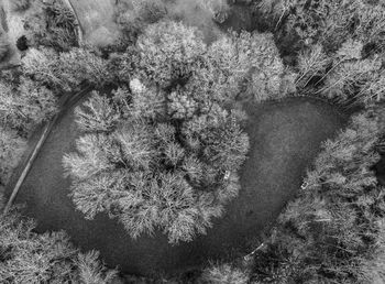 High angle view of trees on field during winter