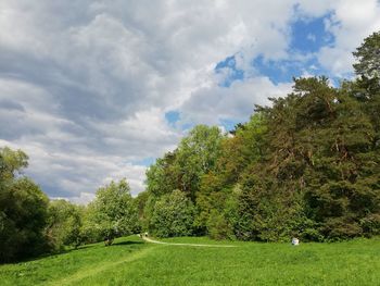 Trees growing on field against sky