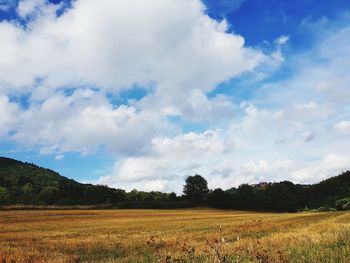 Scenic view of field against sky