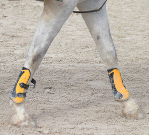 Low section of man playing with sand