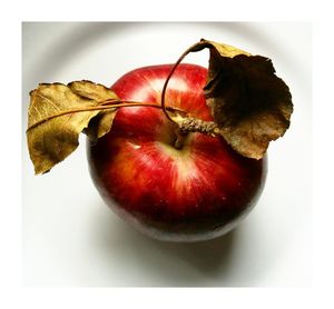 Close-up of apple against white background