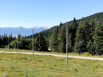 Scenic view of field against clear sky