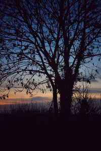 Silhouette of bare trees against sky at sunset