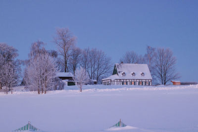 Bare trees on snow covered landscape against clear sky