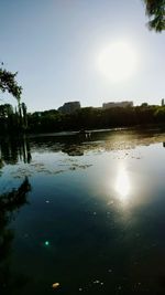 Reflection of trees in calm lake