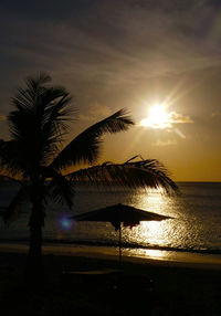 Silhouette palm tree on beach against sky at sunset