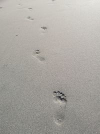 High angle view of footprints on sand