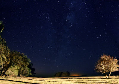 Trees on field against sky at night